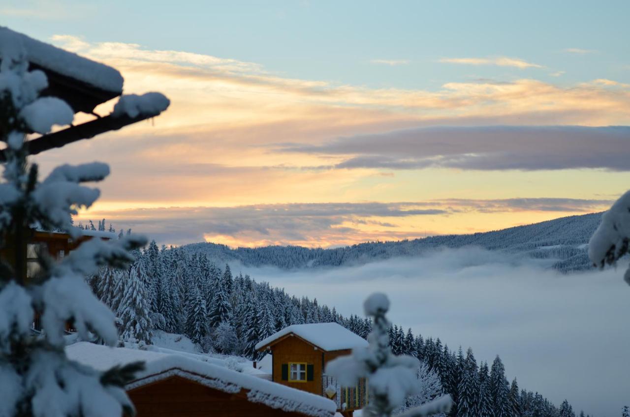 Ferienhaus Seetaler Alpen Obdach Exteriör bild